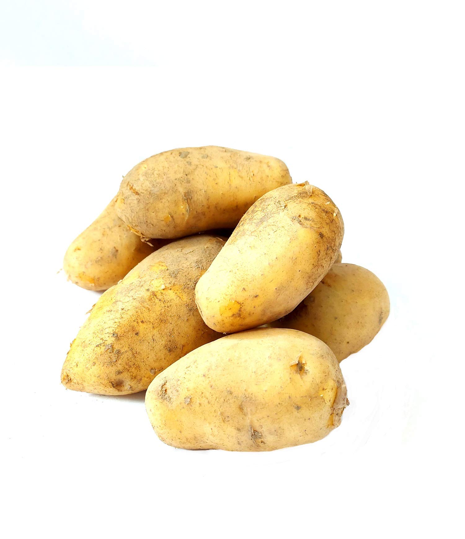 Frische Sieglinde festkochende Speisekartoffeln Kartoffel 10 KG Ernte 2025 aus Bayern festkochend Salatkartoffel zum Grillen für Kartoffelsalat Pellkartoffeln Bratkartoffeln Pommes Frites