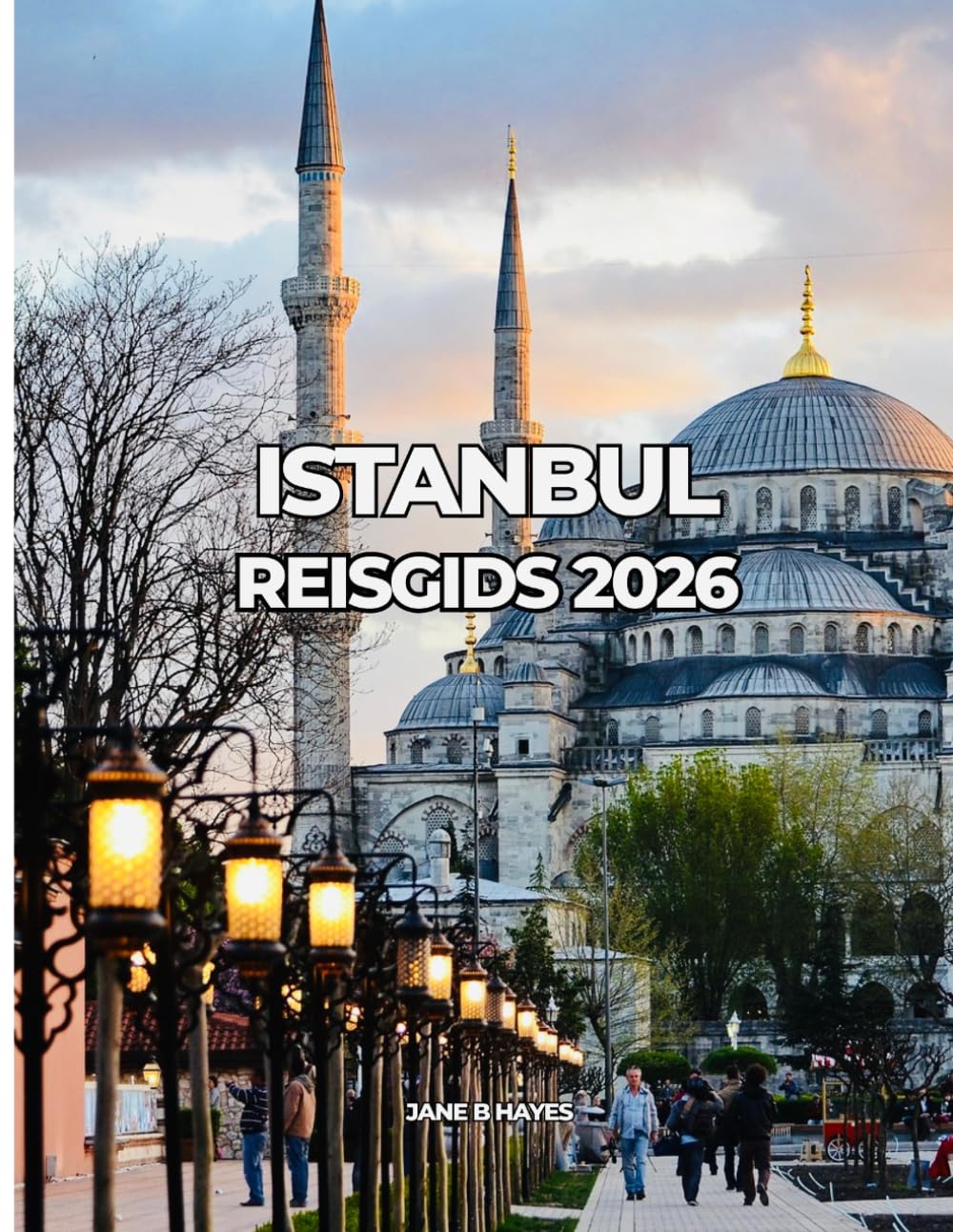 ISTANBUL REISGIDS 2026: Betaalbare reizen door een tijdloze stad