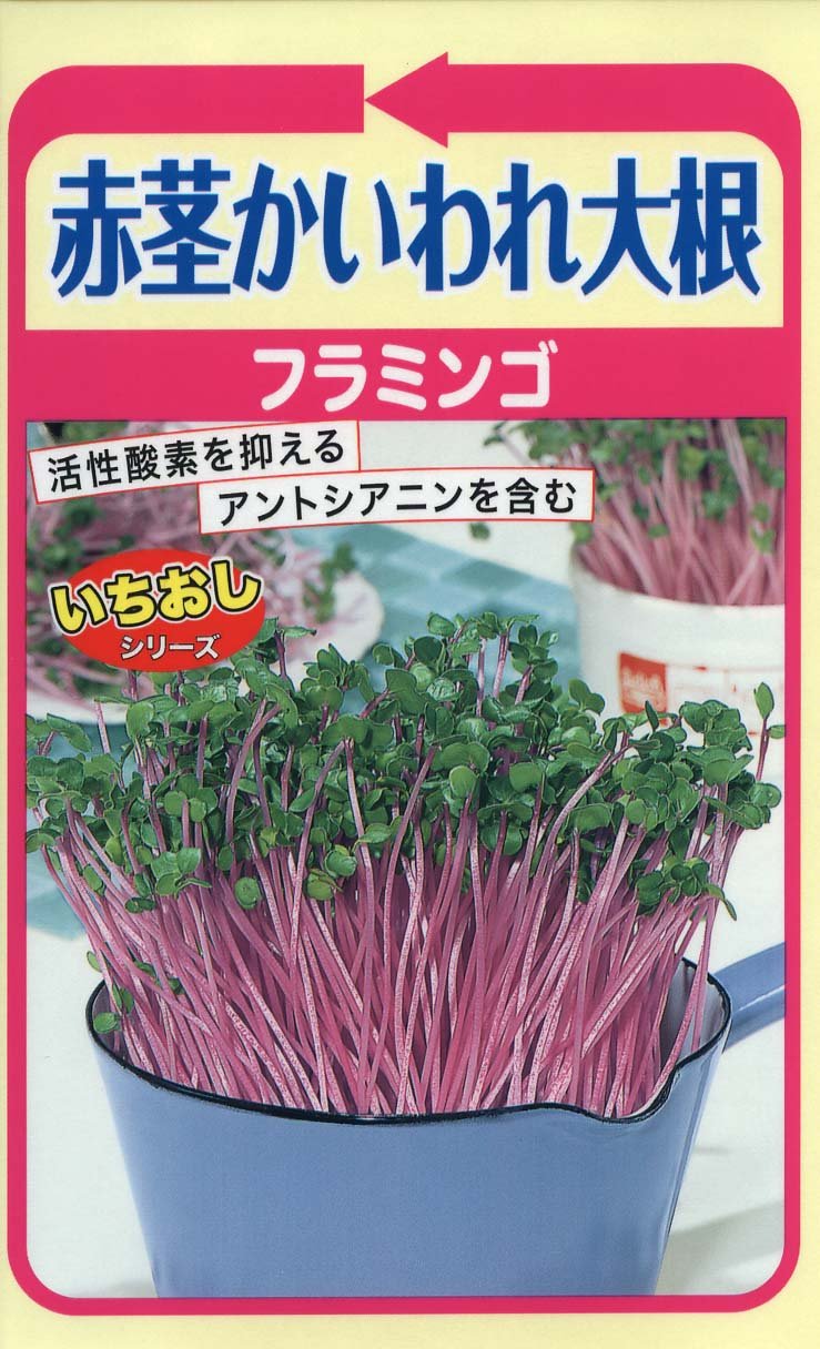 Amazon | 株式会社トーホク 赤茎かいわれ大根 フラミンゴ 06402 | 野菜