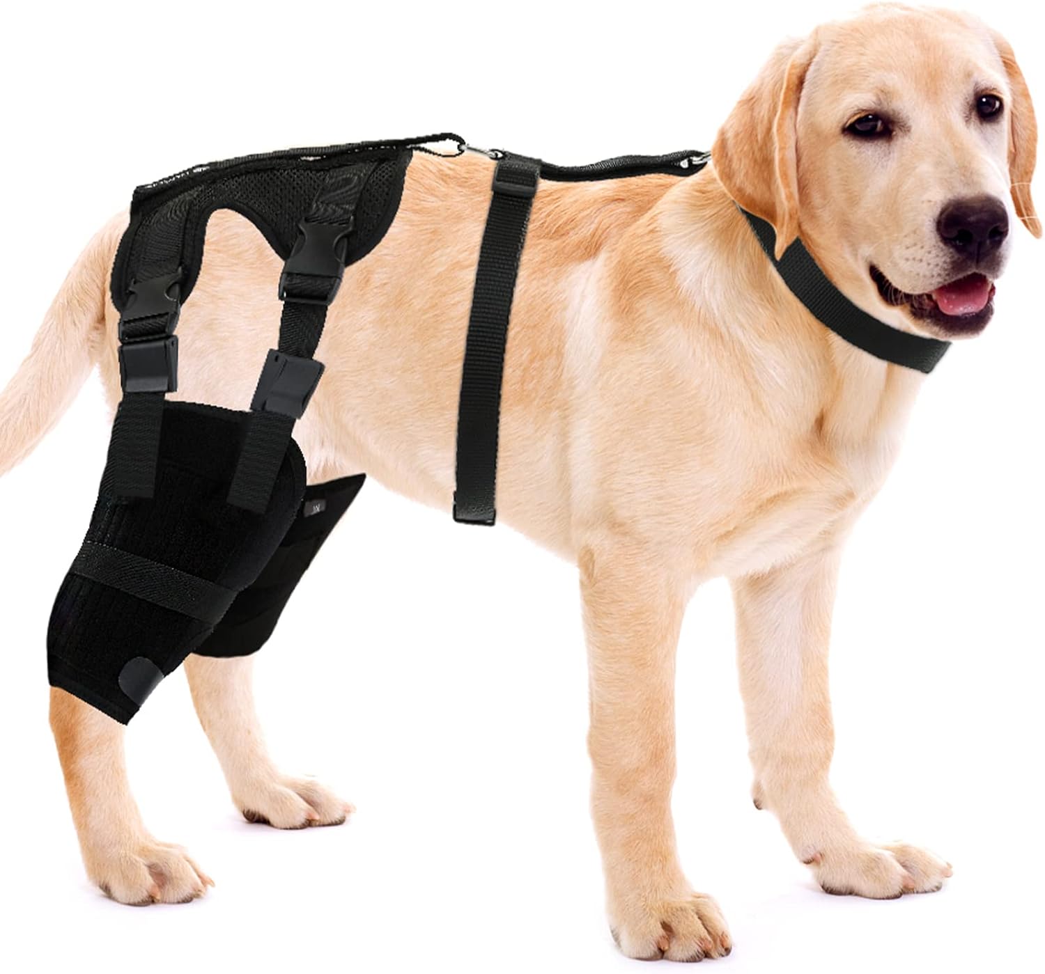 HUAME Double Knee Dog Knee Brace, Support for Torn ACL Hind Leg