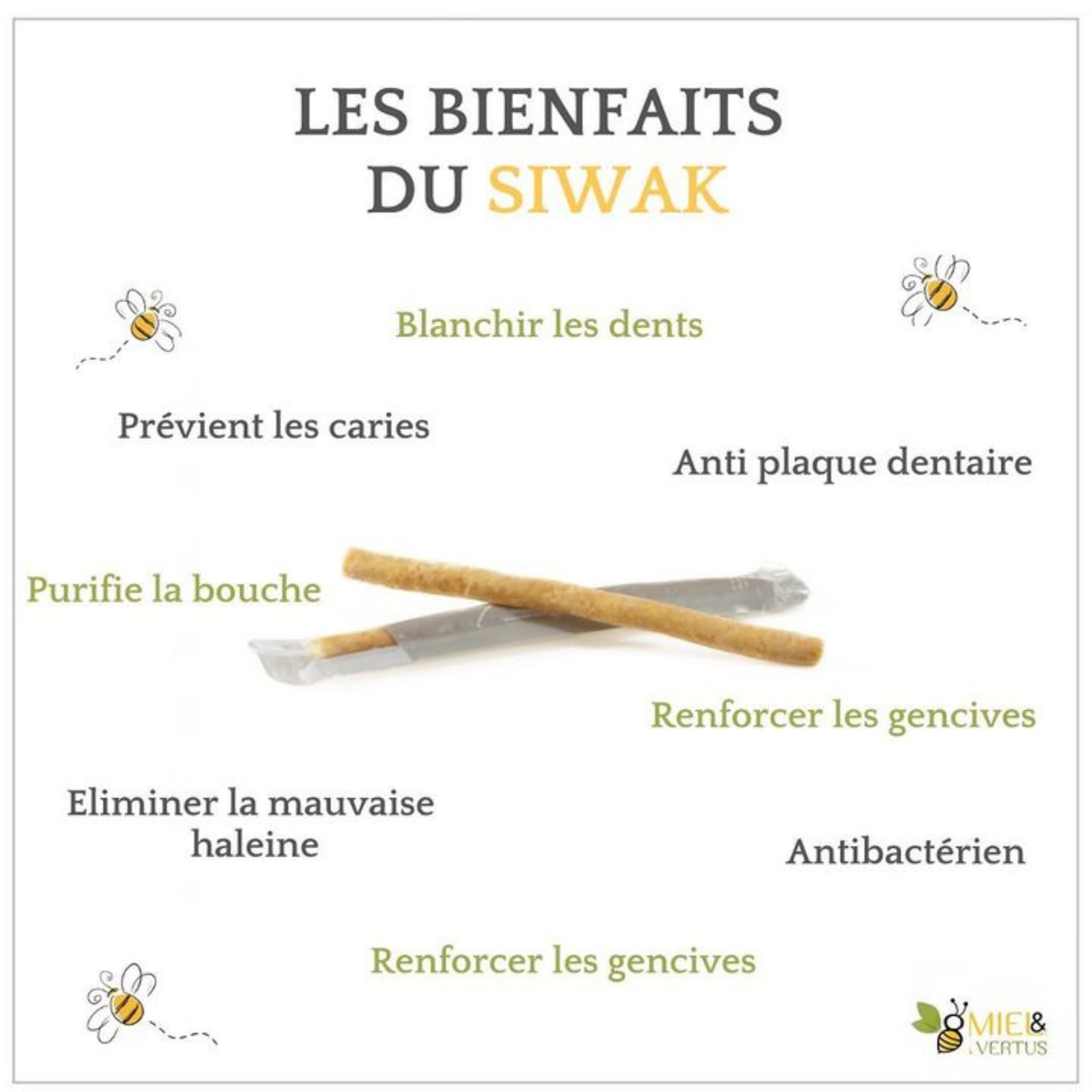 MSPURE Set di 12 bastoncini di Siwak con custodia – Spazzolino da denti 100% naturale – detergente, disinfettante e sbiancante, ecologico, biodegradabile e vegano [Soddisfatto o imbottito] (x10)