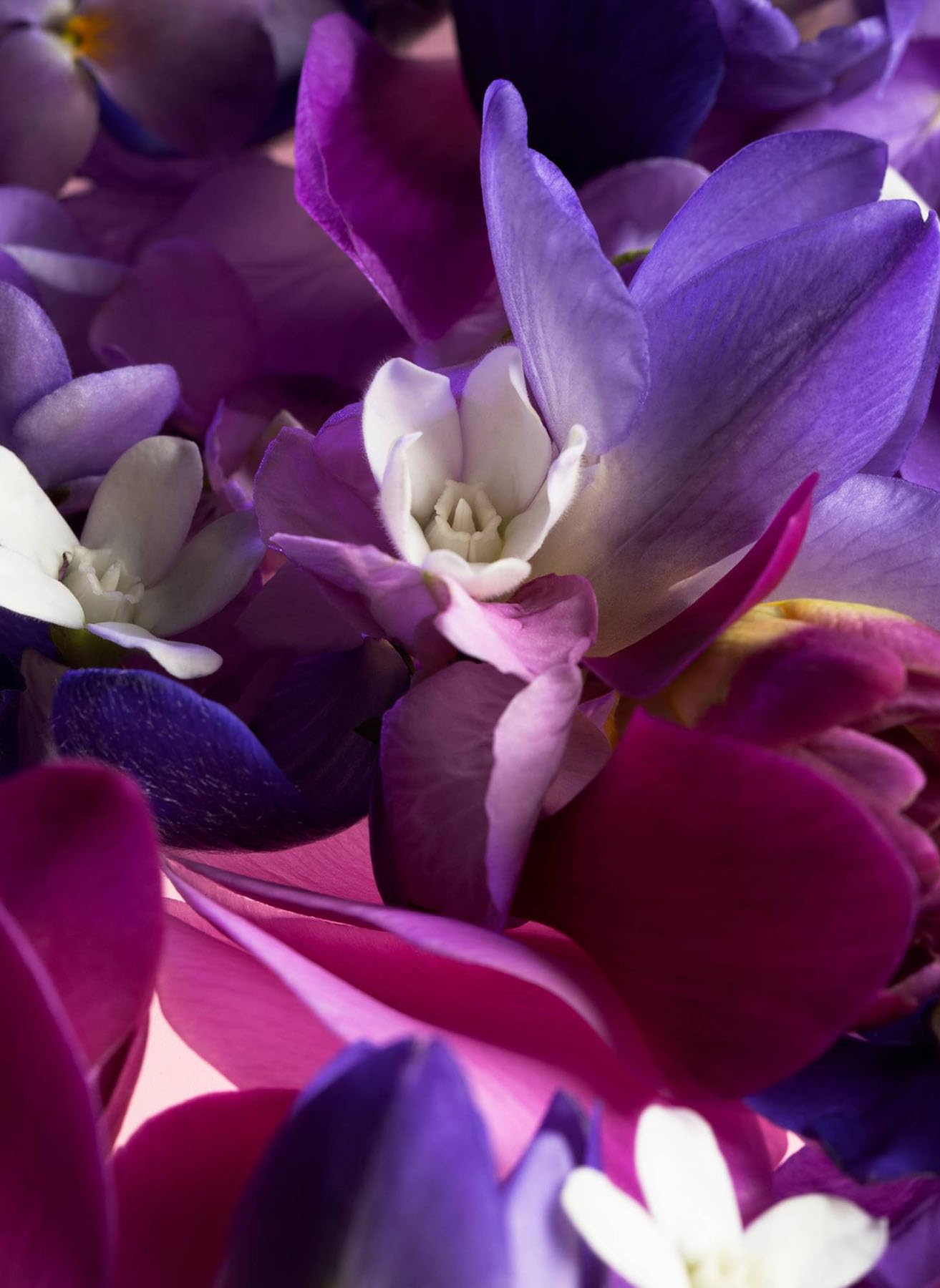 Shiseido Ginza Murasaki Edp Spray