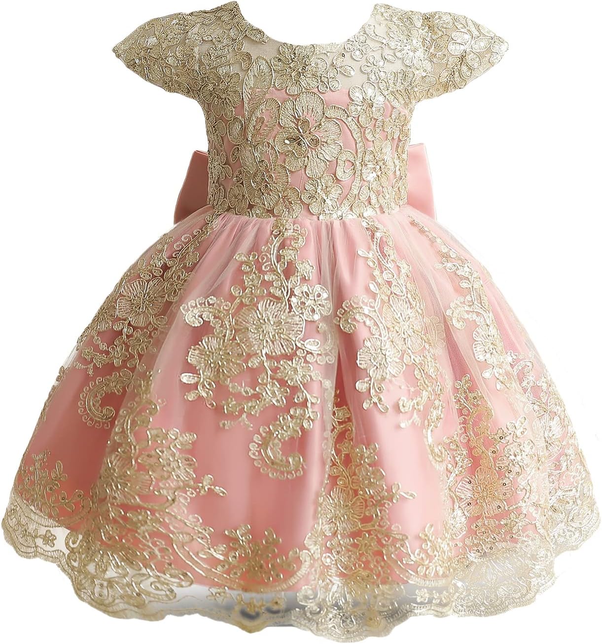 HNXDYY Baby Girl Tutu Dress Princess Lace Embroidery Wedding Party Gown - Image 3