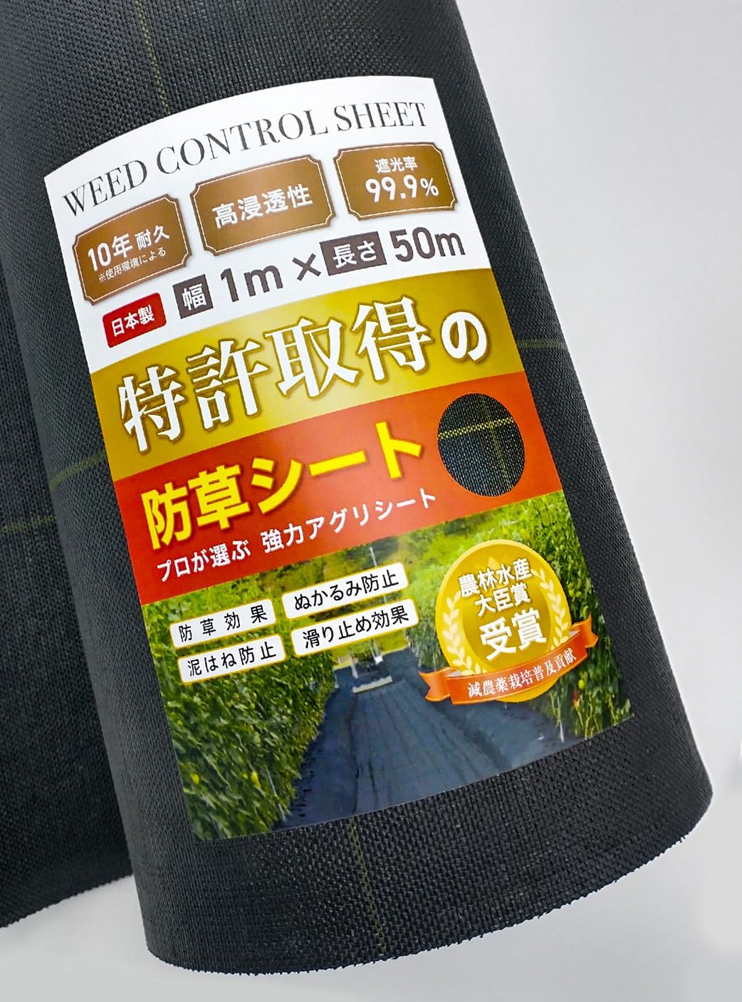 非売品】Studio e.go! 山本和枝 描き下ろし A3 ポスター ④ a3 イラスト