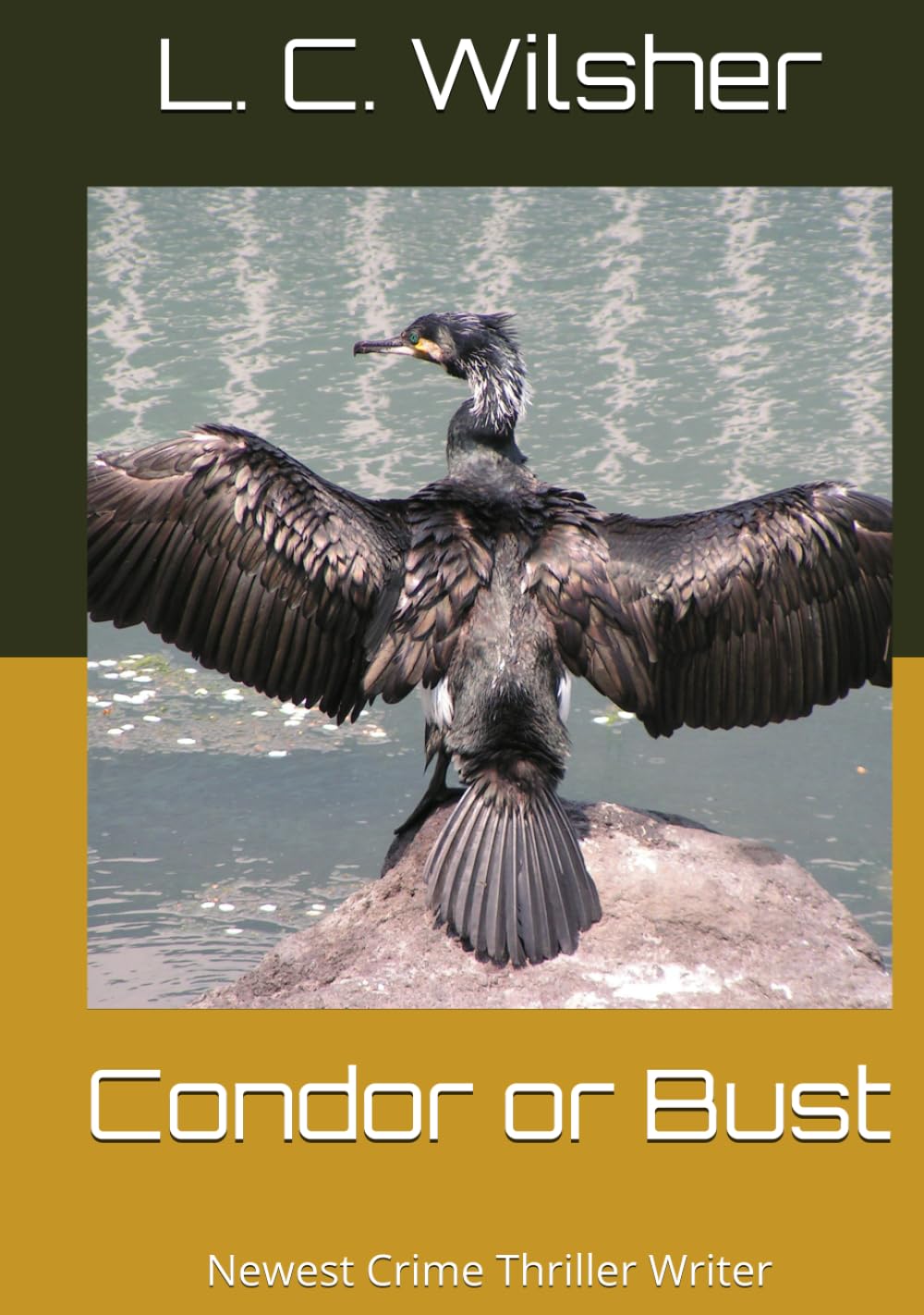 Condor or Bust: Newest Crime Thriller Writer