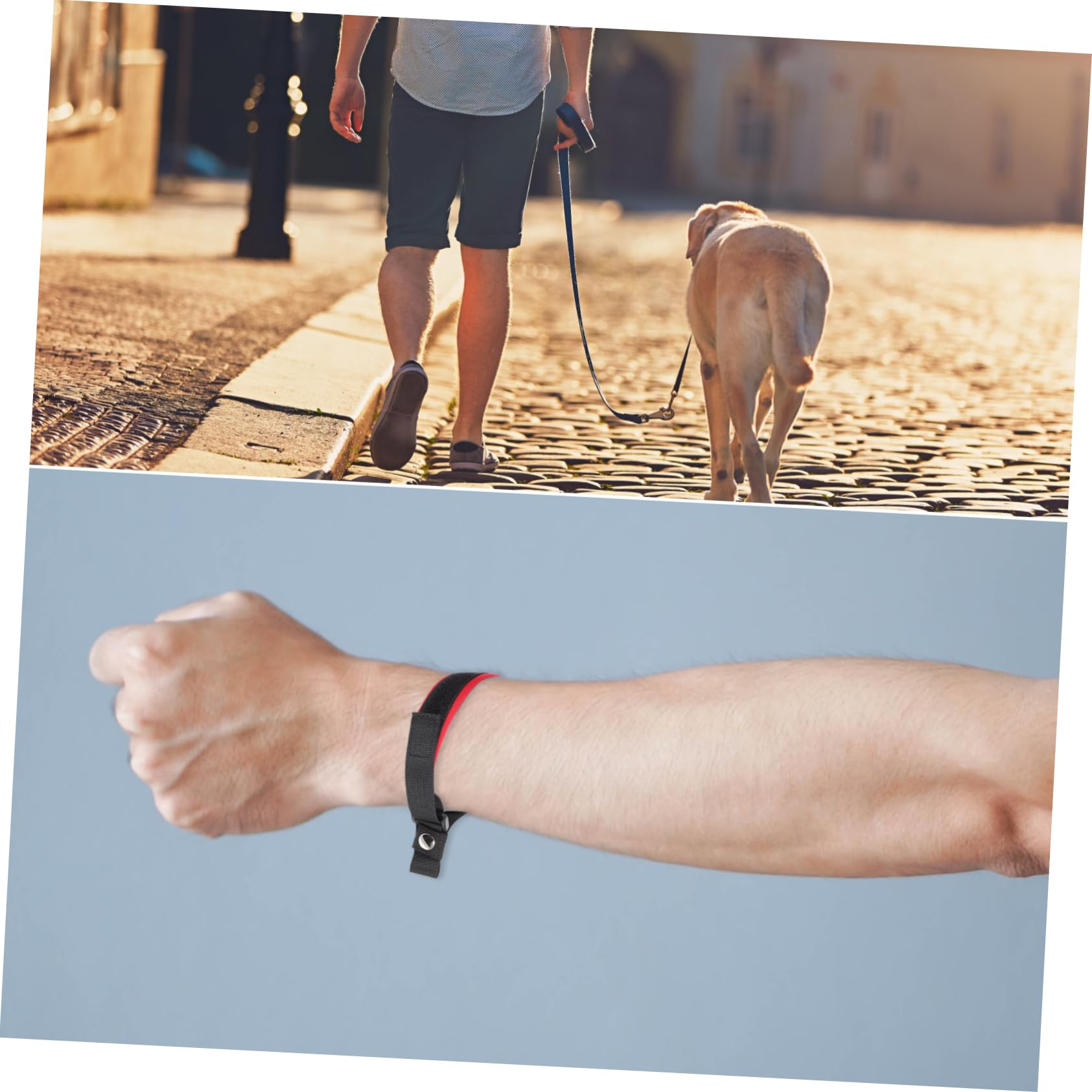 BESPORTBLE Pet Dog Leash Retractable Dog Training Leash Comfortable Outdoor Harness