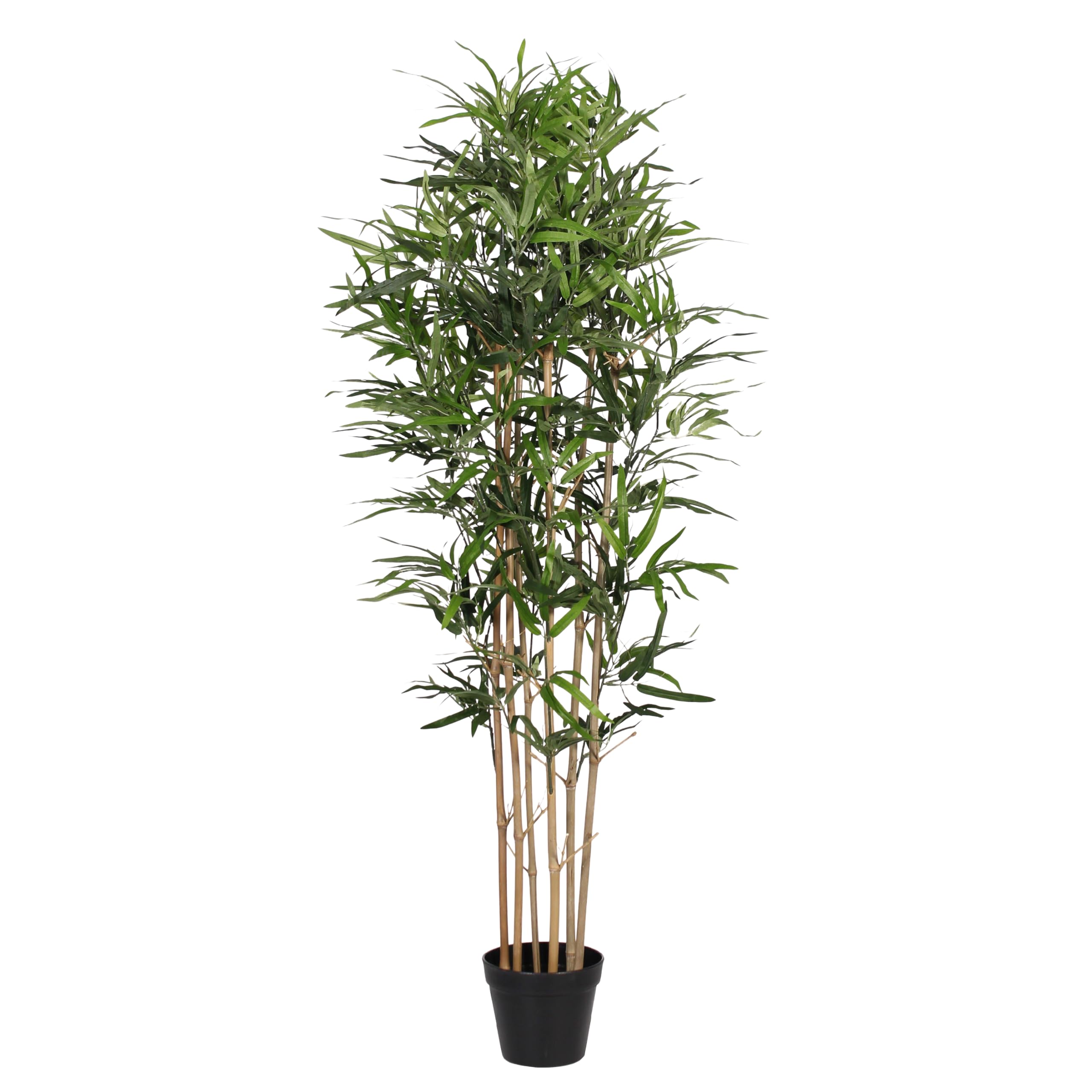 Blooming Artificial - Oriental Bamboo Tree, Realistic Artificial Plant for Garden, Home, and Office, Year Round Decorative Foliage, UV and Water Resistant (Green) (150cm)