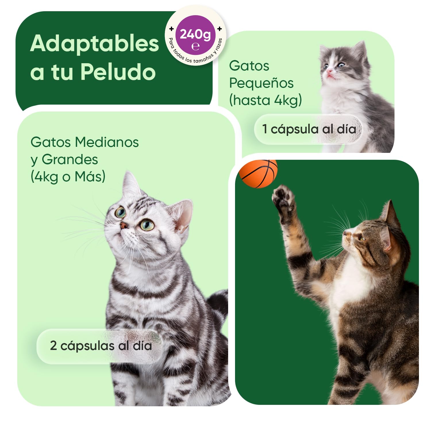 animigo Calmante para Gatos en Comprimidos Masticables - Antiestrés Natural para Gatos Nerviosos, Estrés por Cambios, Viajes o Veterinario - Relajante con Taurina, Pasiflora y Ashwagandha