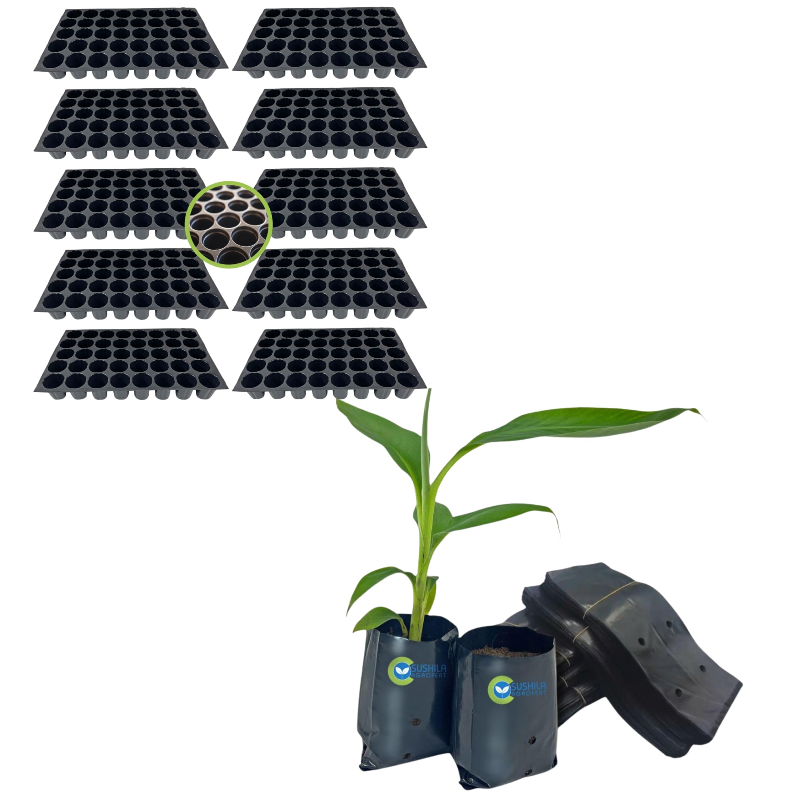 SUSHILA AGROFERT 40 Cavity Big Size Seed Germination Tray, Set of 10 Plant Growing Bags 5X4 Inches 250 Pieces Small Size Seed Germination-image-41