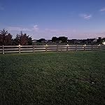 Review Image by OlGreenEyes OlGreenEyes