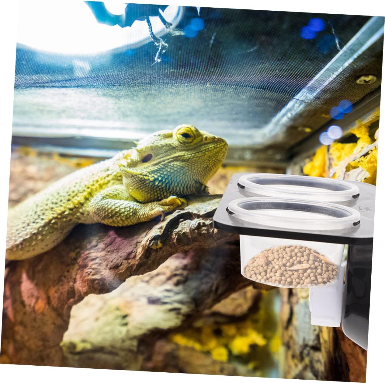 Angoily 4sets Reptile Feeding Ledge with Cups Dual Compartment Water Feeder and Food Dish for Terrarium for Bearded Dragons Geckos Frogs and Tortoises Easy to Clean Design