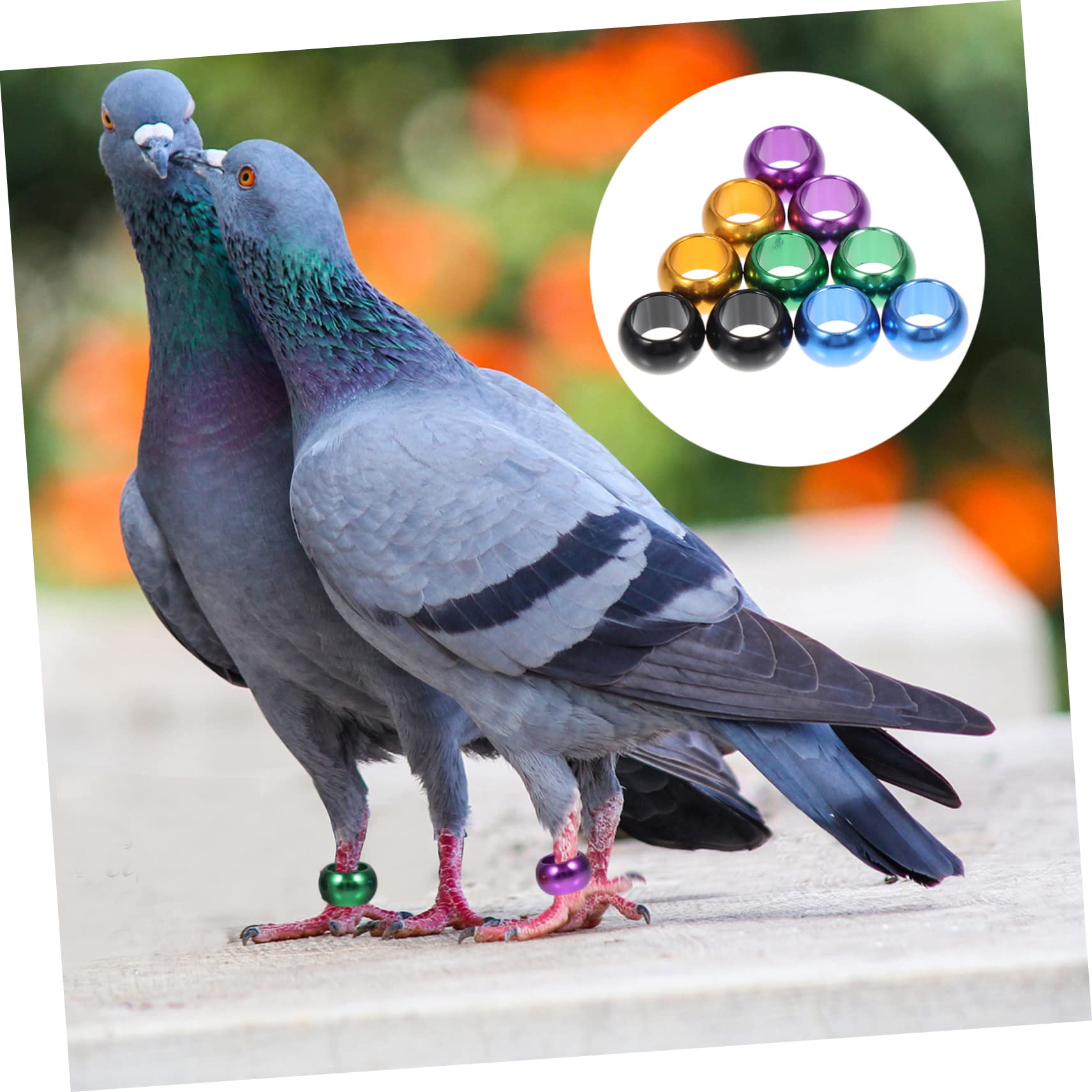 minkissy 40 Pcs homing piccione cavigliera pollo cavigliere piccione anelli gamba uccelli anelli di identificazione pollo braccialetto uccelli anello di addestramento uccello piede tag pollame