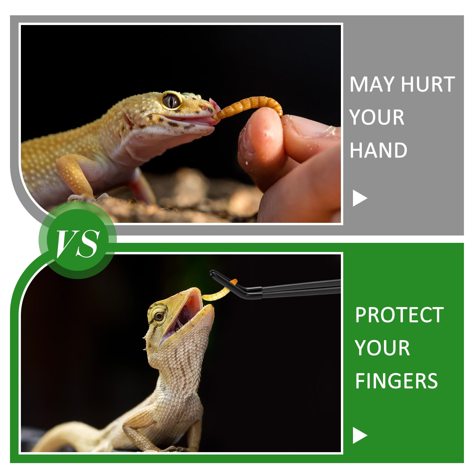 Lasnten 2 pinzas de alimentación de reptiles de acero inoxidable con punta de goma, pinzas de acuario, pinzas largas rectas y curvadas, herramienta de terrario, herramienta de alimentación de mango