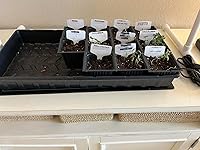 Review Image by Alkaline Guy