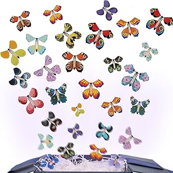 71vr6a-sEqL._AC_UF350,