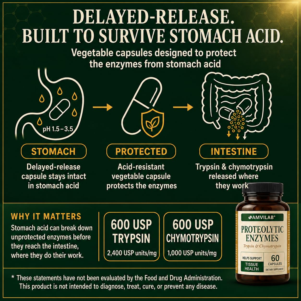 Proteolytic Enzymes, Trypsin & Chymotrypsin- 60 Capsules, Digestive Enzymes — Amazon image 5