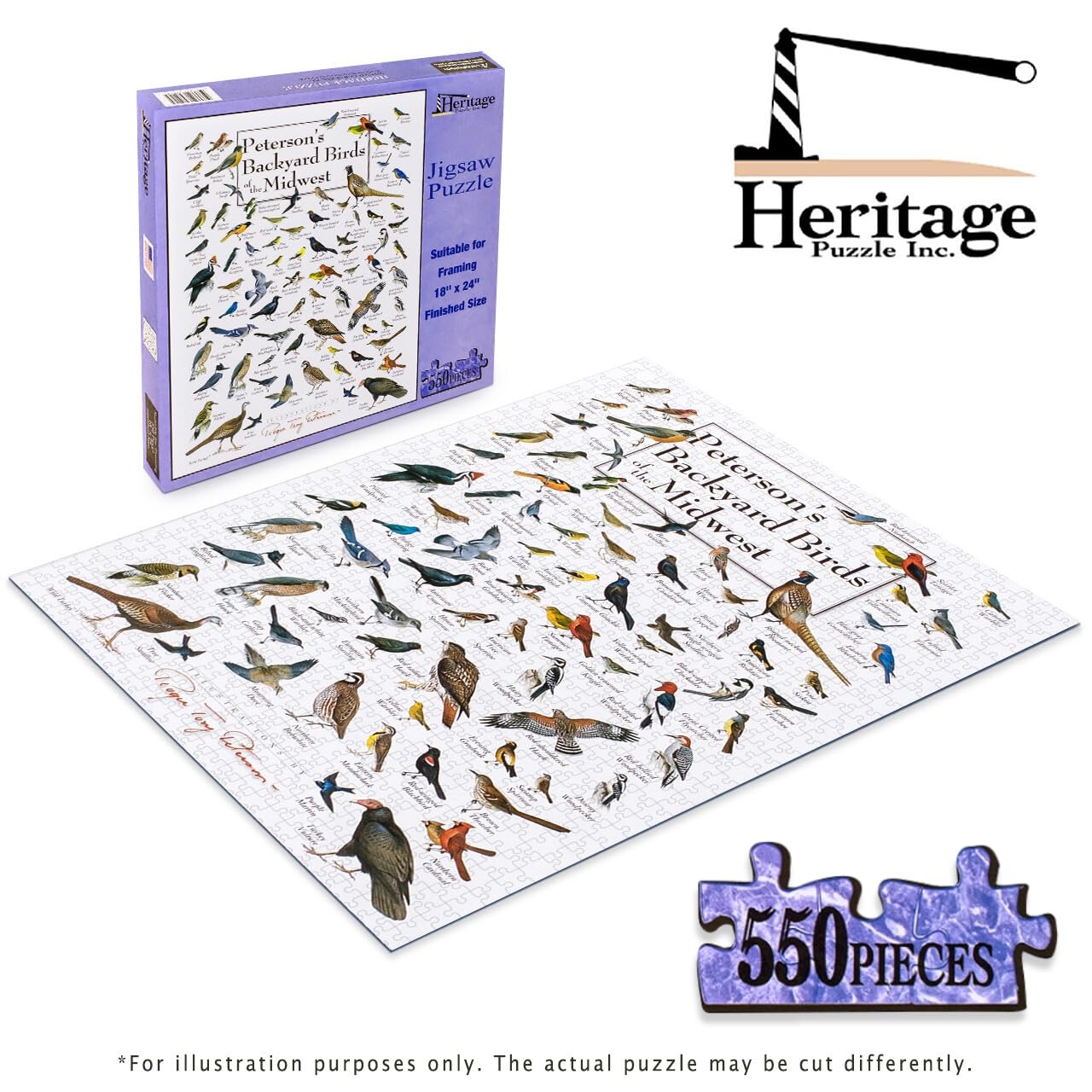 Amazon.com: Heritage Puzzle Backyard Birds of The Midwest by Roger