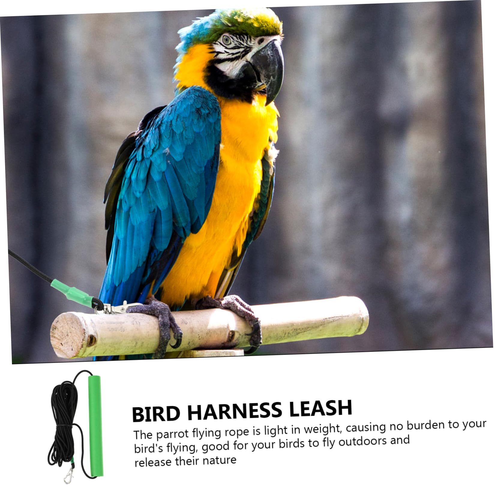 Hohopeti Arnés De Entrenamiento para Aves Cuerda De para Periquitos y Hámsters De Material y Cómodo para Paseos