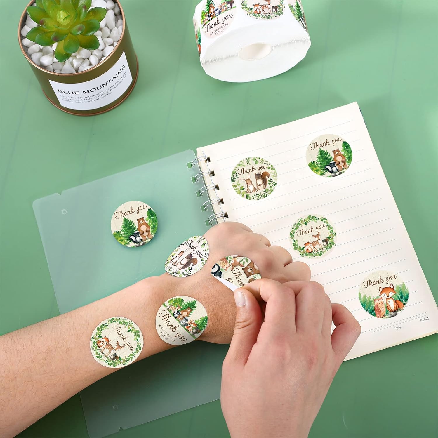 Whaline 1000Pcs Woodland Baby Shower Thank You Stickers Forest Creature Thank You Stickers Wild Animals Self-Adhesive Round Decals for Birthday Baby Shower Party Favor Labels Decor, 6 Design - Image 3
