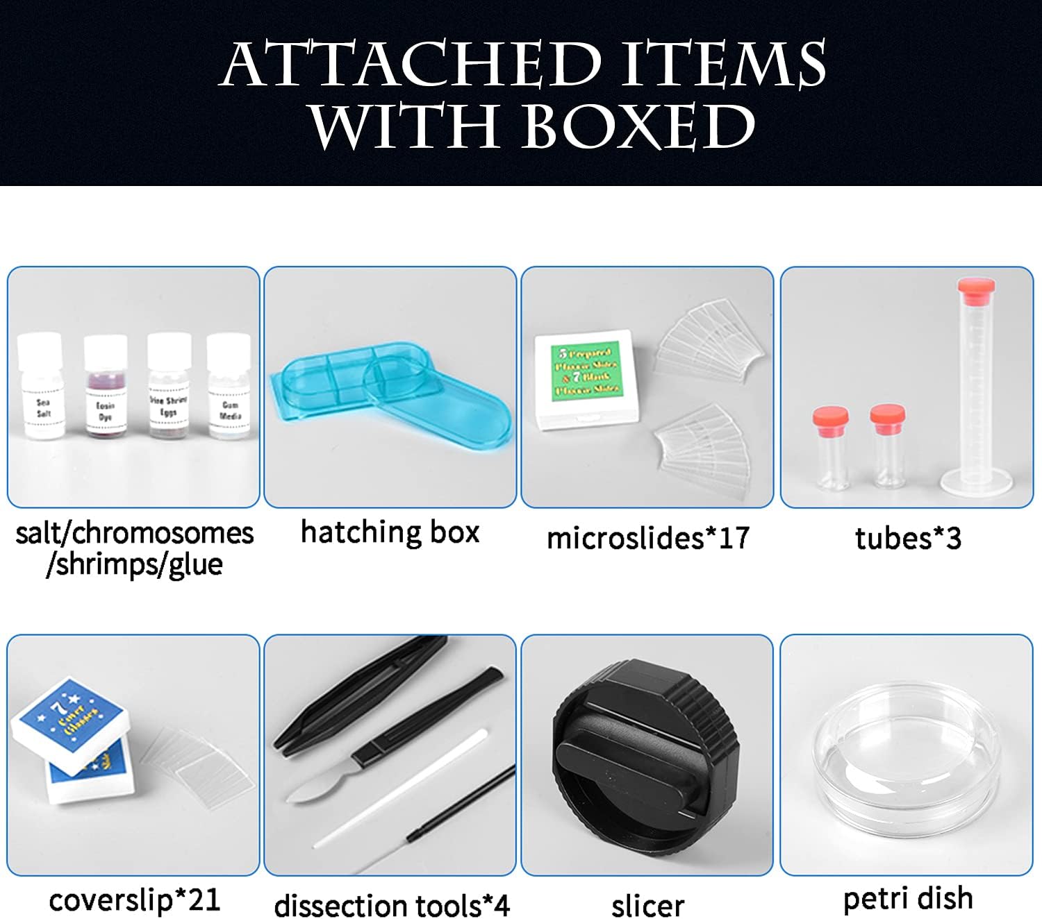 Artenjoyfine Science Microscope STEM Kit for Kids 300X-1200X High Magnification,Includes Prepared Blank Slides and LED Light,Educational Protable Microscope for Students and Beginners. : Toys & Games