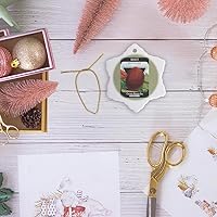 Vista 6 de 3dRose BLN clásico semillas Reproducciones – Early Turnip semillas de sangre de tarjeta de remolacha Semilla Company – Los Ornamentos