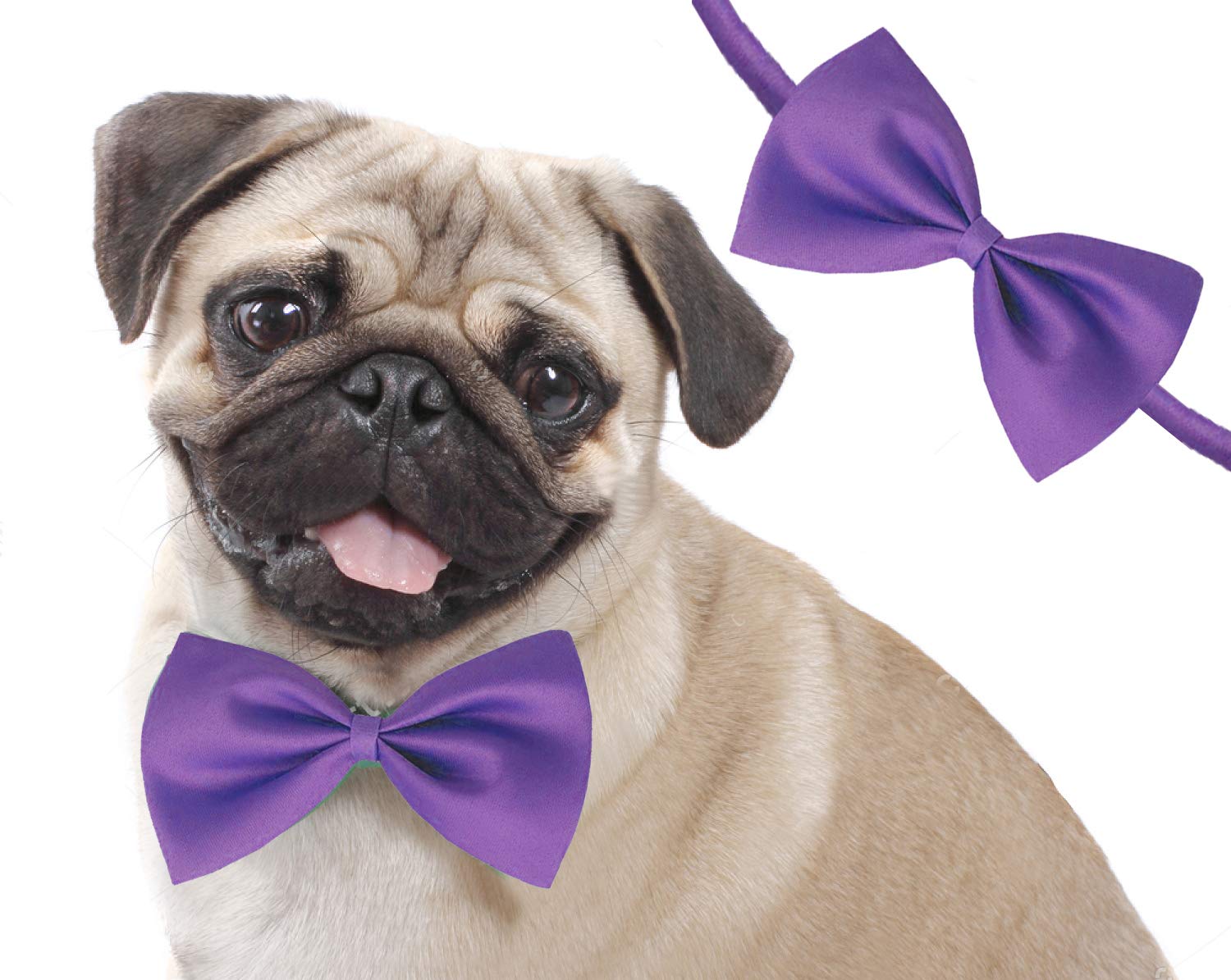 Sage Square Jumbo Size Adjustable Fashion Party, Function, Weeding Cum Formal Costume Neck Bow Tie Cum Necktie for Dog/Puppy/Cat/Kitten (Purple) (B07KKGX7S8) Amazon Price History, Amazon Price Tracker