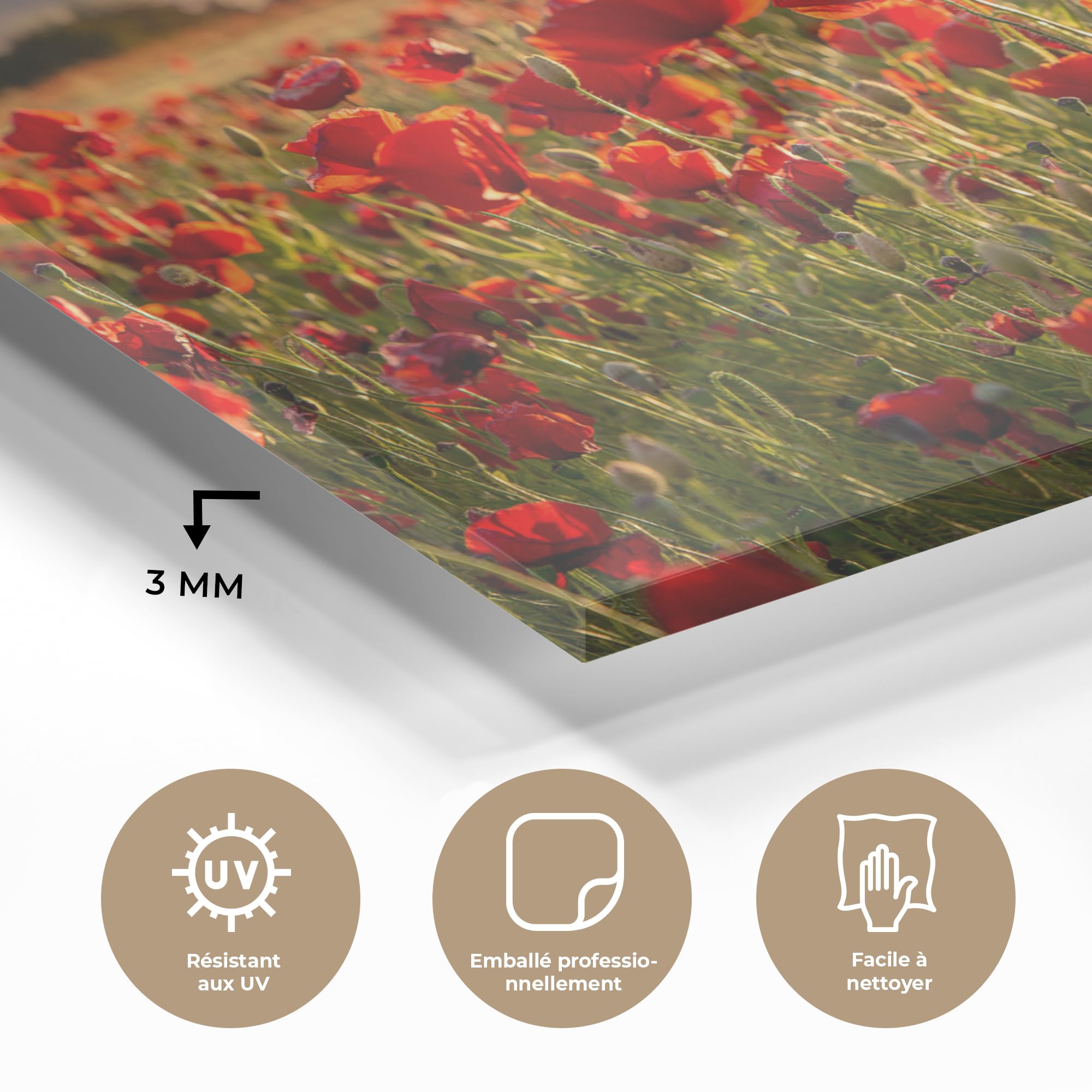 MuchoWow© Stampe In Vetro 60x40 cm Immagine Giorno Interni Notte Moderno Accessori Arredo Poster Murale Cornice Decorazione Pareti Tramonto - Papaveri - Rosso - Fiori - Campo - Natura