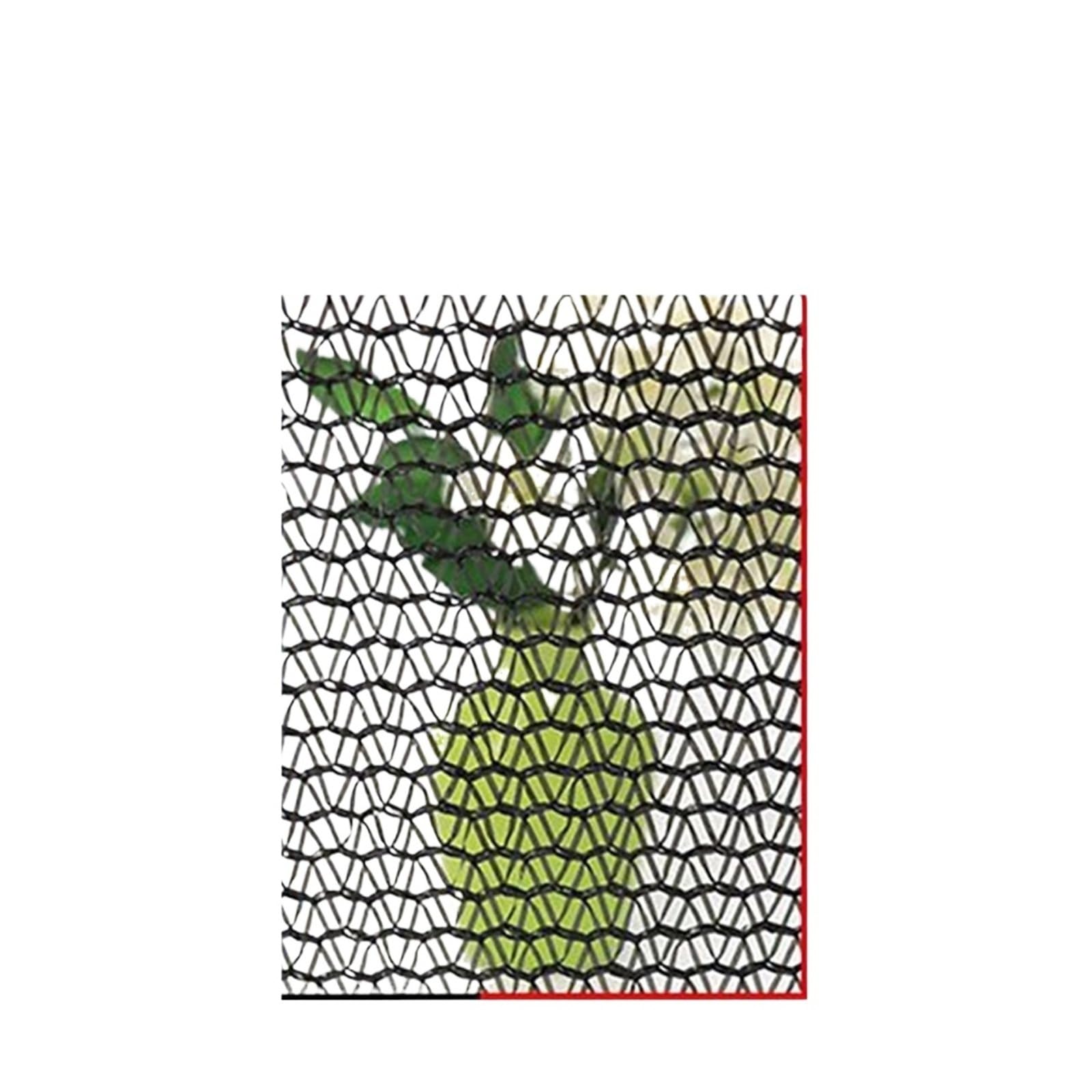 Couverture végétale en maille 4 Pin tissu d'ombrage 2x6m haute densité pour abri solaire de jardin