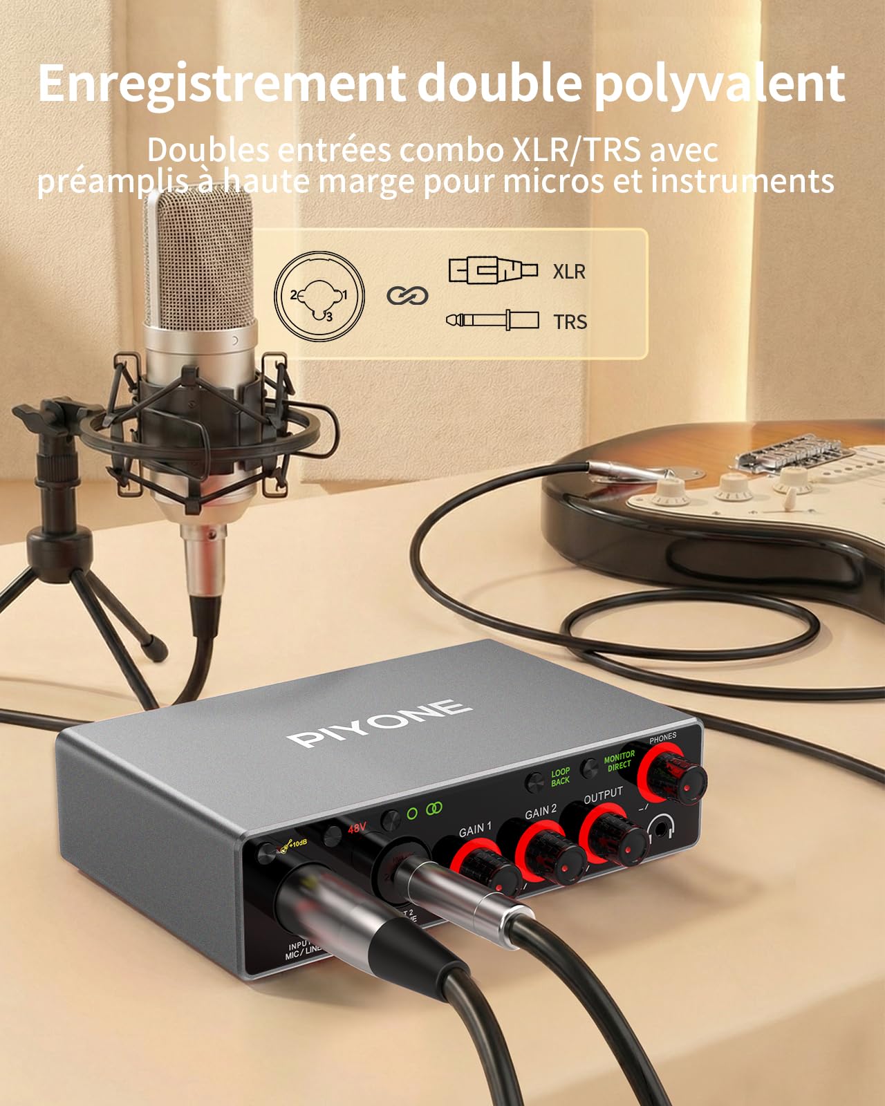 Interface Audio USB 2x2, 24 bits/192 kHz Carte Son Studio pour PC/Mac/iOS, Enregistrement, Podcast, Entrée XLR/TRS, 48V Phantom, Loopback, Monitoring Zéro Latence (Gris Alliage)