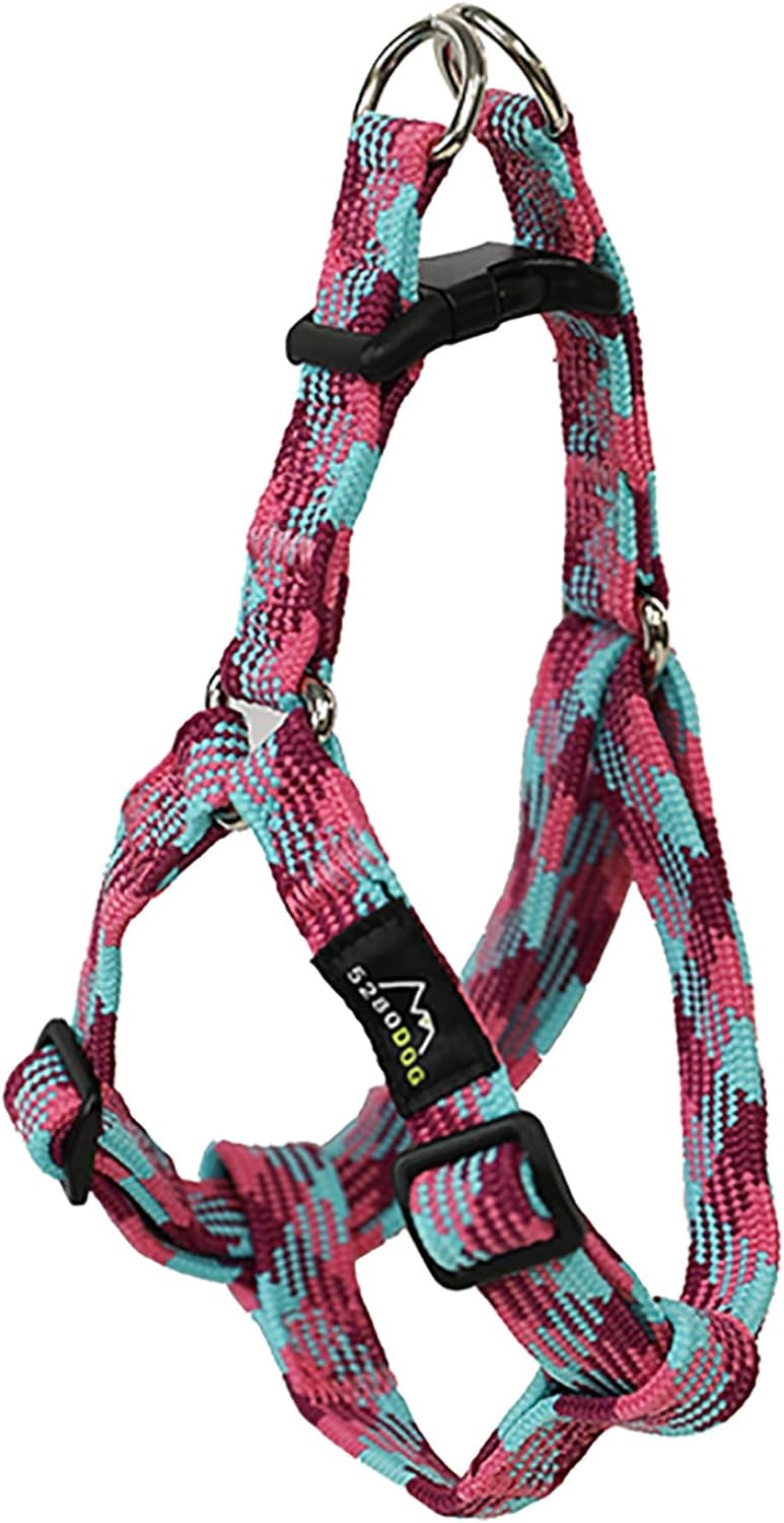 cockapoo x yorkshire terrier