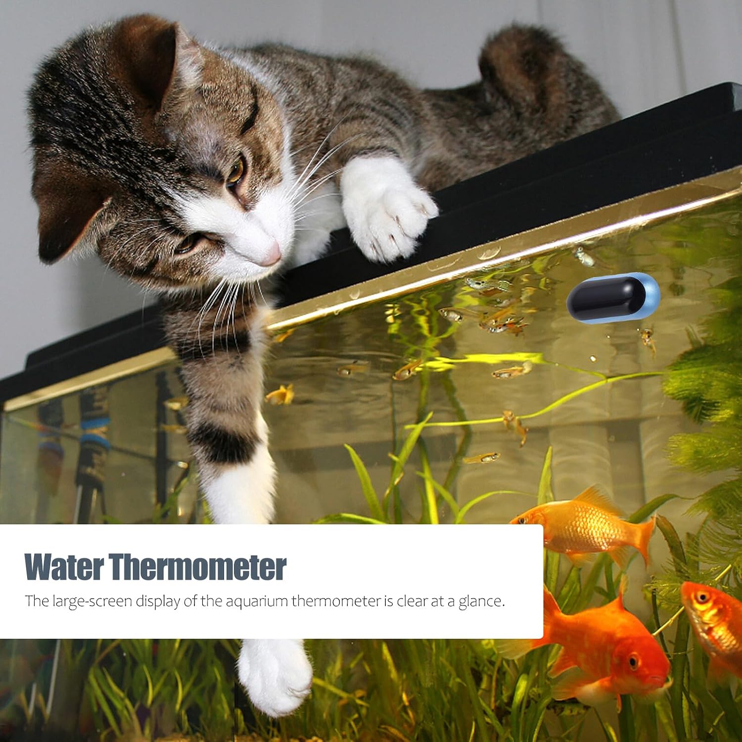 COLLBATH Aquarium Thermometer Digital Display High Precision Water Temperature Detector for Indoor Fish Tank Monitoring