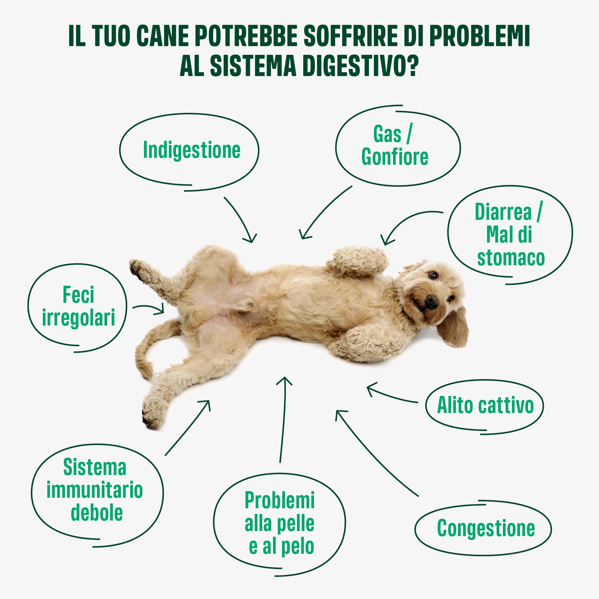 ivvi PROBIOTIC per cani in forma di bocconcino - per la formazione della flora intestinale, per il miglioramento della digestione e del sistema immunitario - 60 gustosi snack con pollo