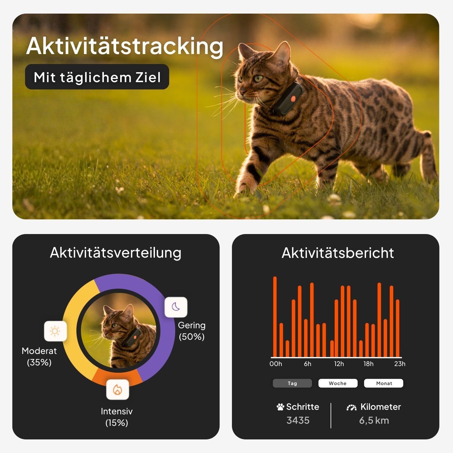 Weenect XS für Katzen - NEU Mini GPS-Tracker für Katzen | GPS-Tracking in Echtzeit | Ohne Distanzlimit | Kleinstes Modell auf dem Markt (Schwarz, XS)