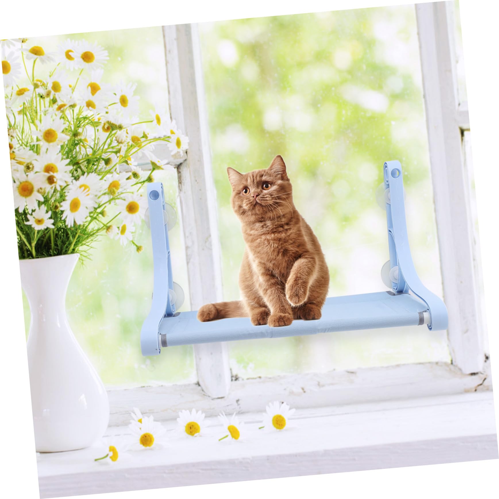Abaodam Katzen Fensterhängematte mit Saugnäpfen Komfortables Katzennest aus Weichem Material Fenstersitzplatz für Kleintiere Haustierbett für Zuhause und Jahreszeiten