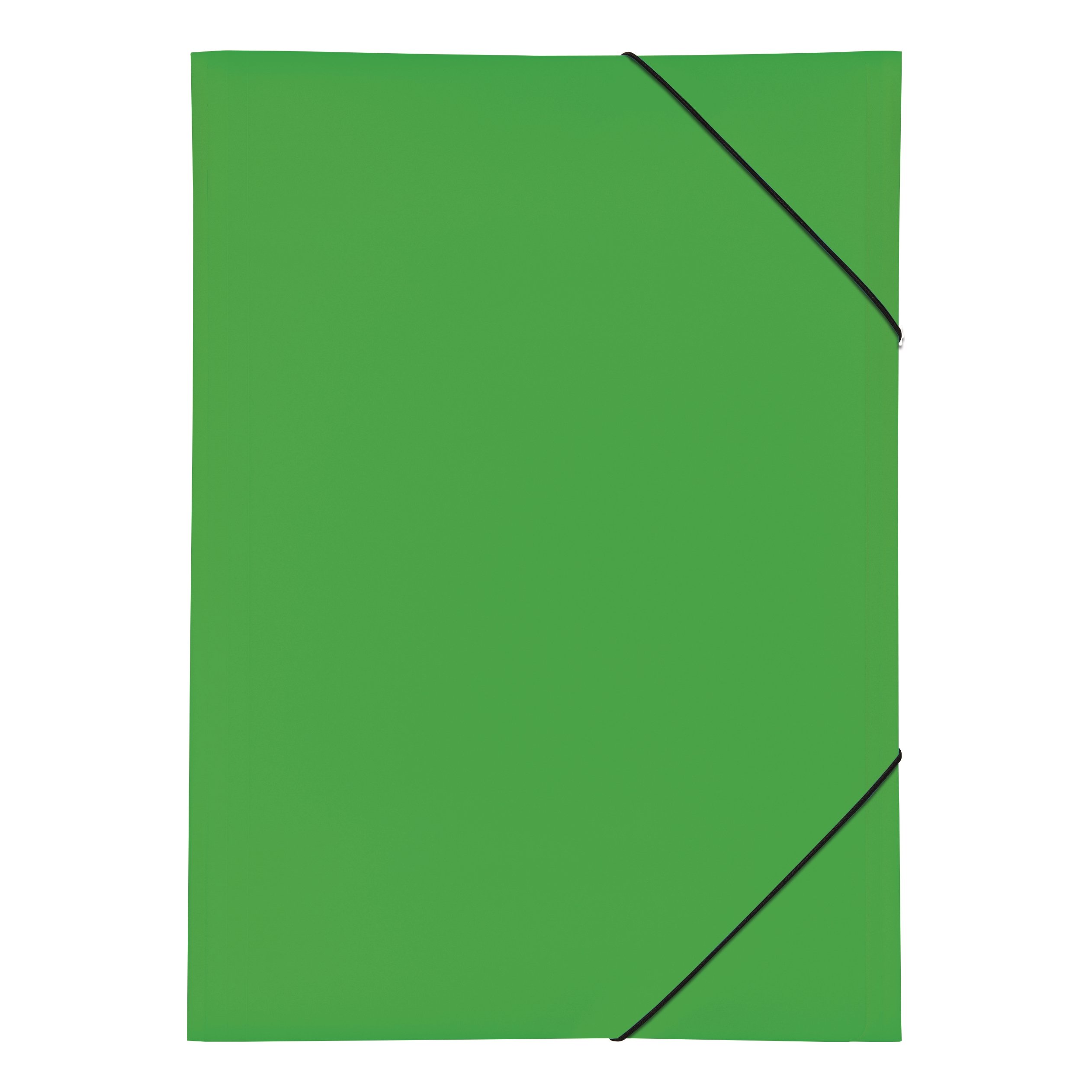 Pagna 21638 Desk A3 Elasticated Folder 3 Flaps Polypropylene Green, 1 piece