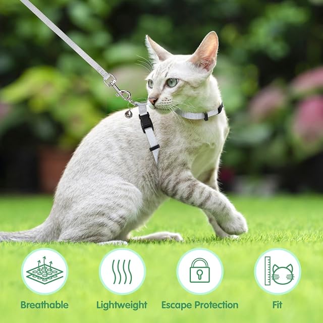 Foto 6 de 8 de Nobleza Arnés para Gatos con Correa, Ajustable Antiescape Seguridad Arnés para Gatos y Cachorros
