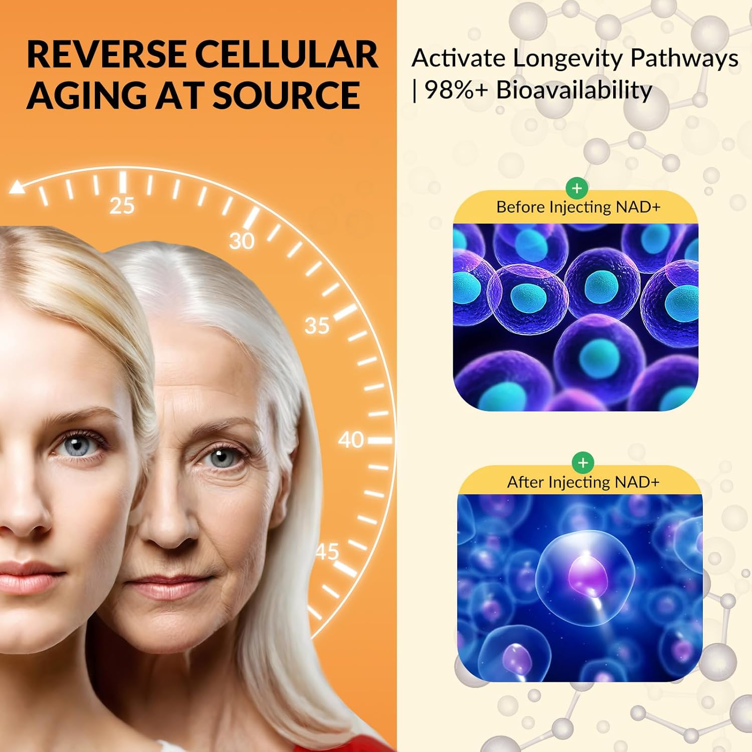 Liposomal NAD Supplement - 1500mg NAD+ Liquid Drop for Women & Men Nicotinamide Riboside Chloride & Resveratrol Complex - Cellular Renewal, Anti-Aging Support - 30 Servings (2 fl oz) - Image 6