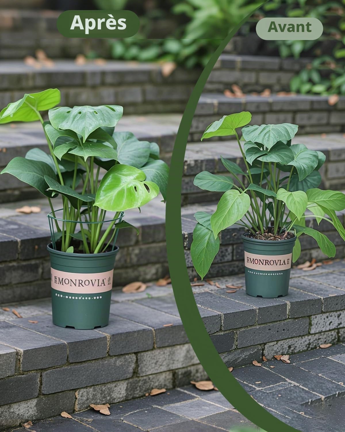 Supports de Plantes de Jardin 25x40cm, SproutMaven Lot de 10 Tuteurs pour Plantes de Jardin en Métal Demi-Rond, Cages à Anneaux de Support de Plantes pour Plantes D'extérieur et D'intérieur