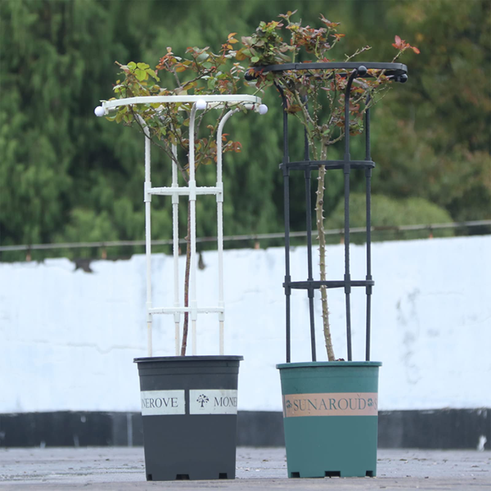 TITA-DONG Treillis Obélisque de Jardin pour Plantes Grimpantes Treillis Extérieur et Intérieur pour Plantes en Pot, Tour de Treillis Parapluie Vertical en Métal avec Revêtement PE,(Blanc 185 * 28 cm)