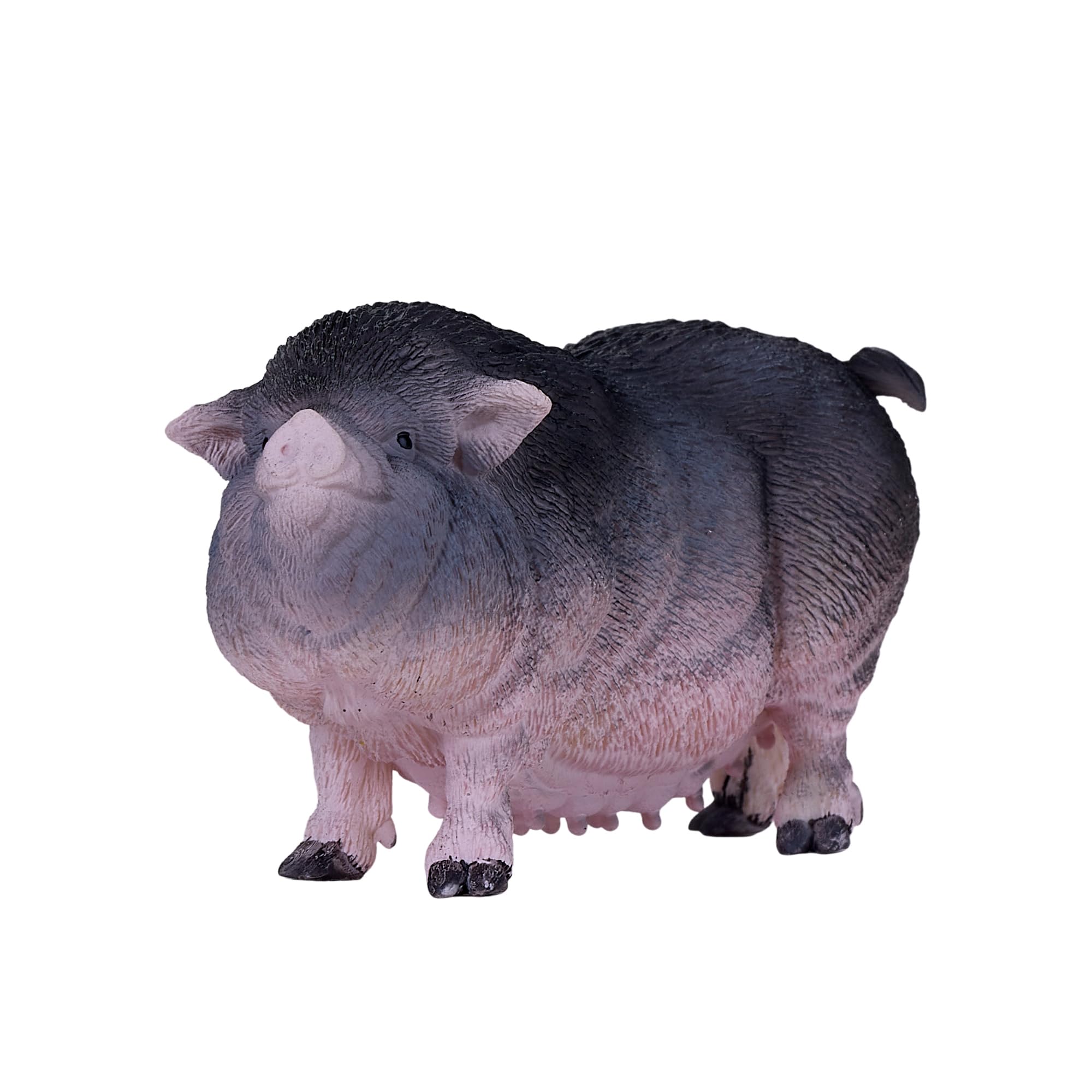 MOJO - Pot Bellied Pig, Multicolor - Image 3