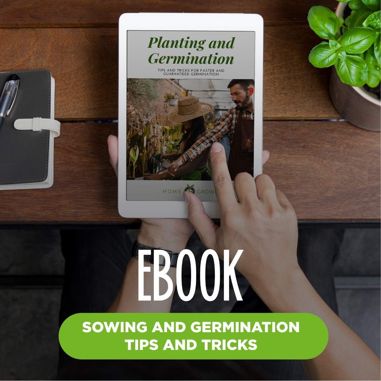 Indoor Herb Garden Starter Kit - 5 Herb Plant Grow Kit w/ Pots & Soil - DIY Heirloom Herb Seeds Home Gardening Kit - Kitchen Window Garden Growing Kit - Unique Gardening Gifts for Women & Men : Patio, Lawn & Garden