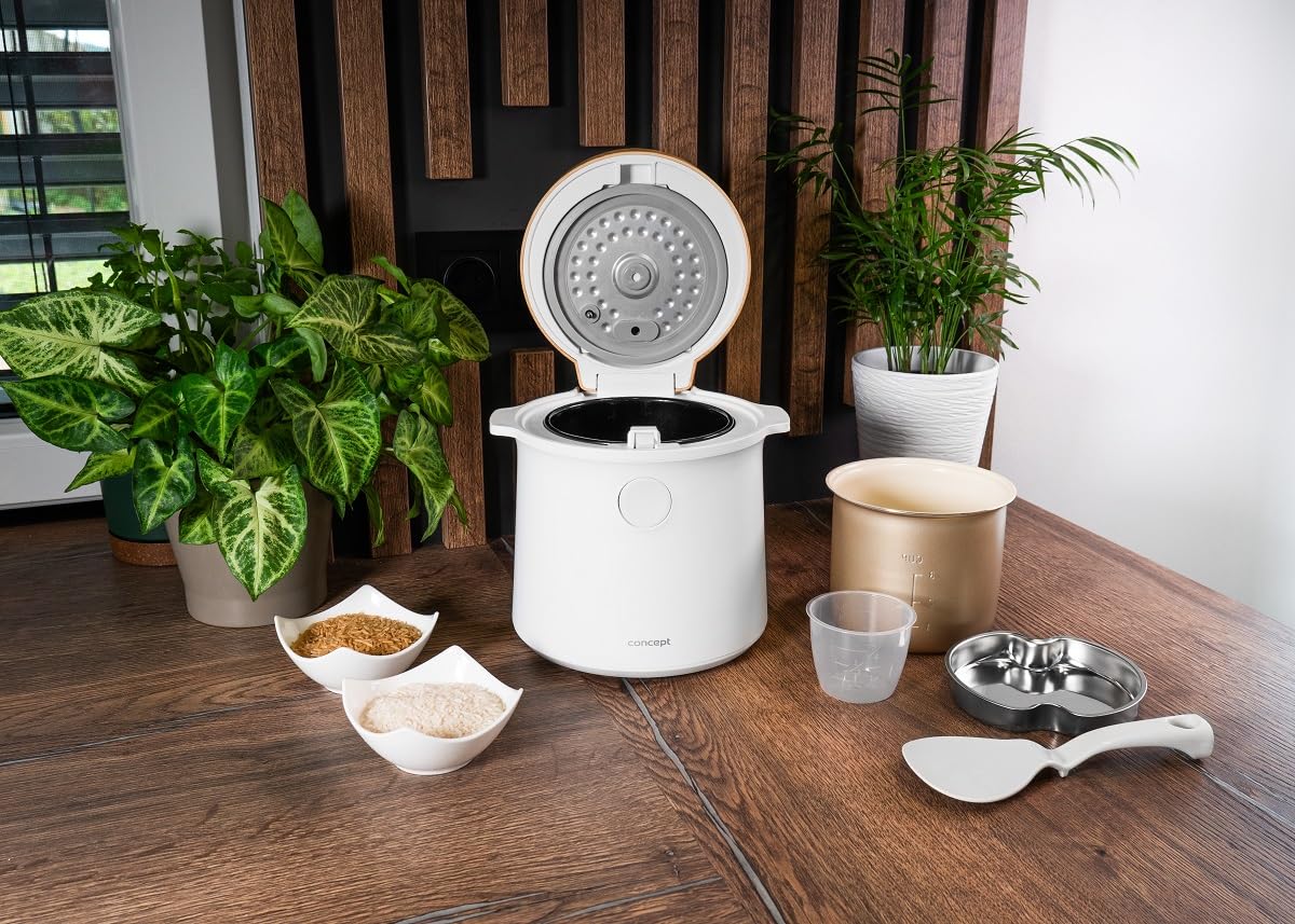 Concept RE3030 Cuiseur à riz numérique 1,5 l Blanc Décor bois