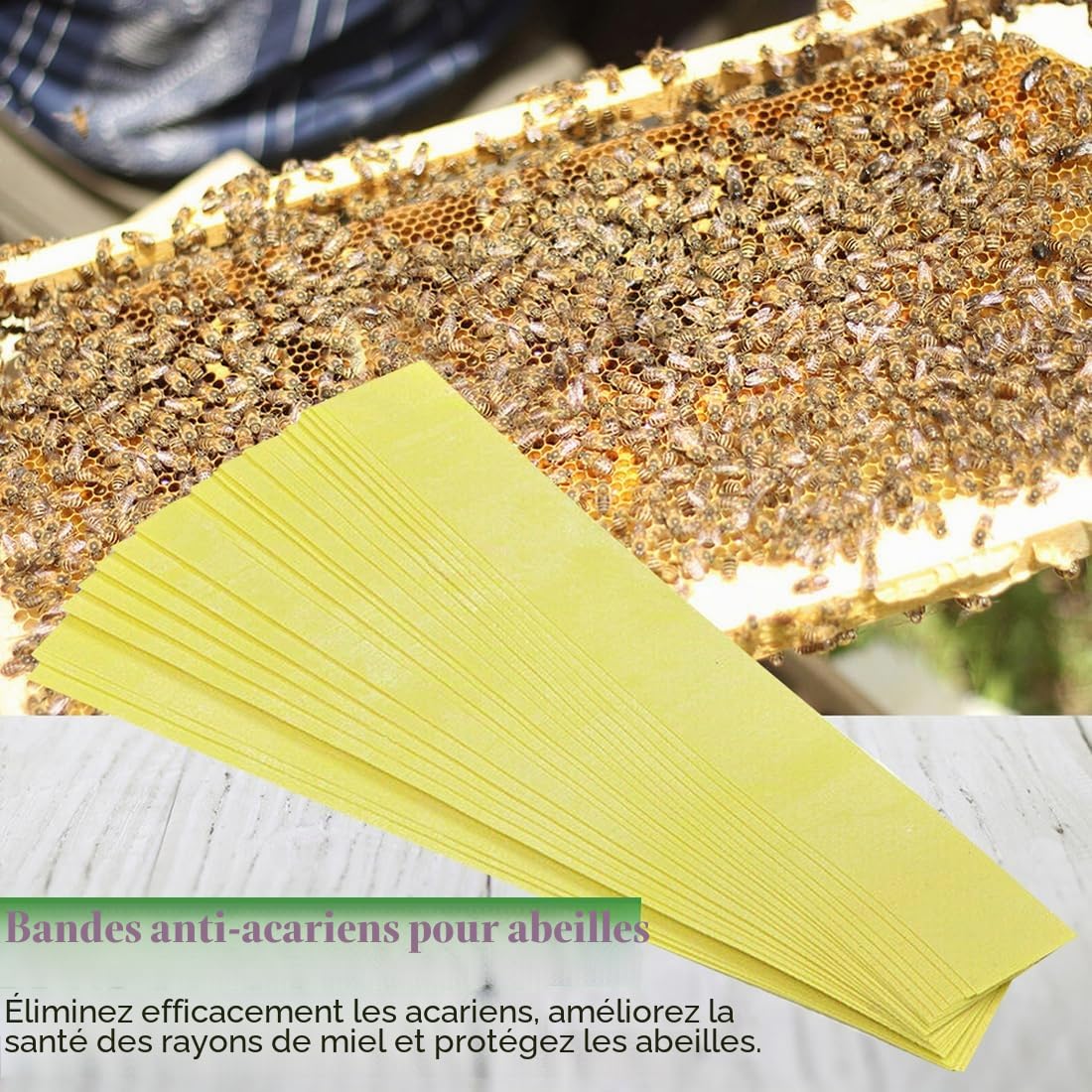 Accessoires d'apiculture,Paquet de 20 bandelettes anti-acariens, un traitement écologique pour ruches, qui contrôle efficacement les acariens.