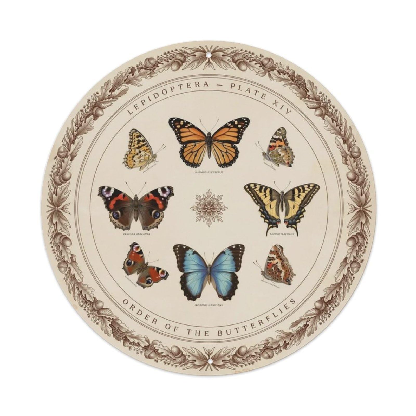 Retro Butterfly Collection Metal Tin Sign Plaque