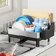 Ewaiira Dish Drying Rack, 304 Stainless Steel Dish Racks for Kitchen Counter, Dish Drainers with Automatic Drainage, Utensil Holder & Cups Holder, Space Saving Kitchen Organizer, Black 16.5''x12.6''