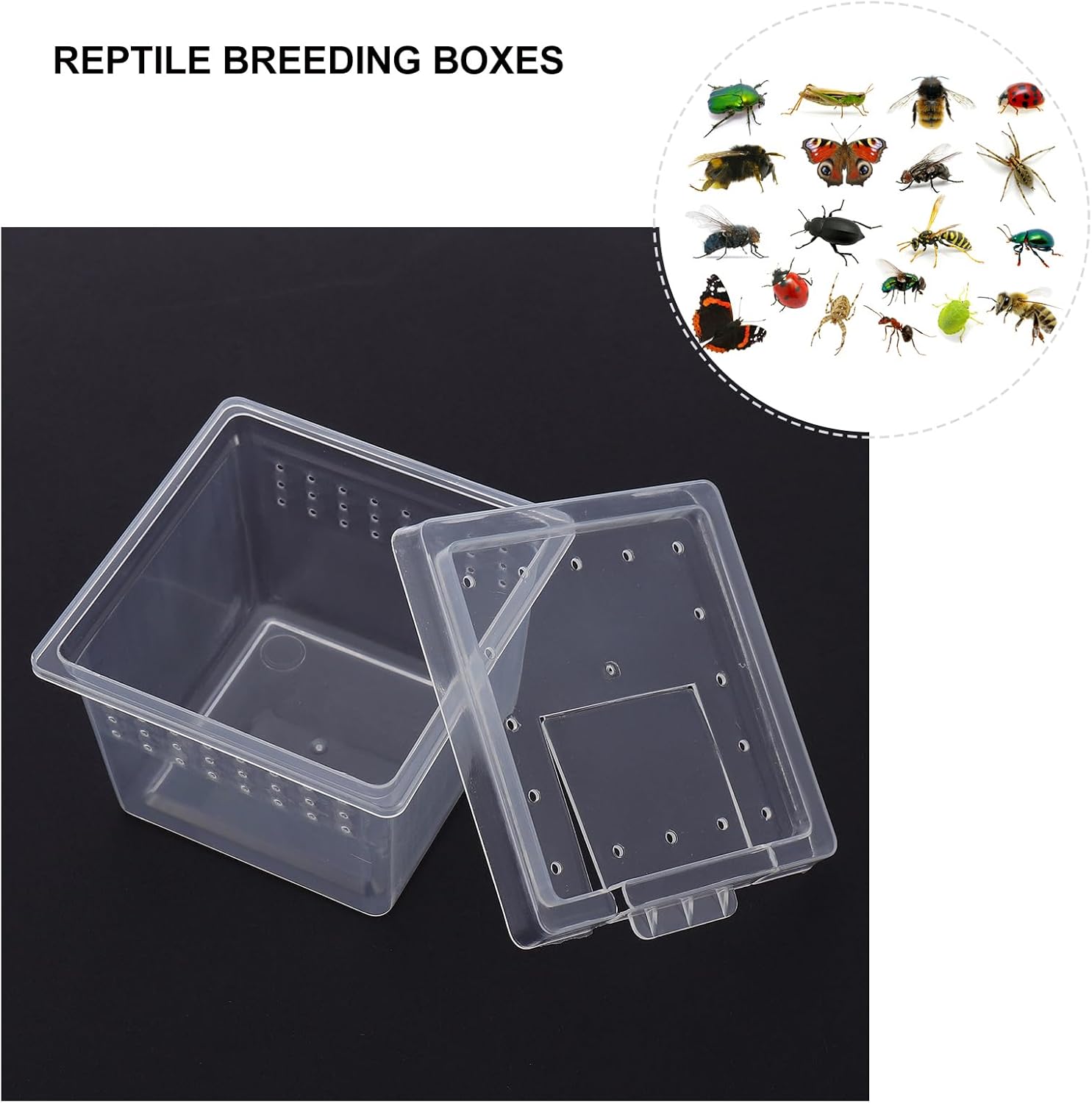Mipcase Transparent Reptile Breeding Box 2.7In Small Feeding Cage Tank for Snakes Lizards Spiders Geckos and Insects with Secure Lid for Safe Habitat
