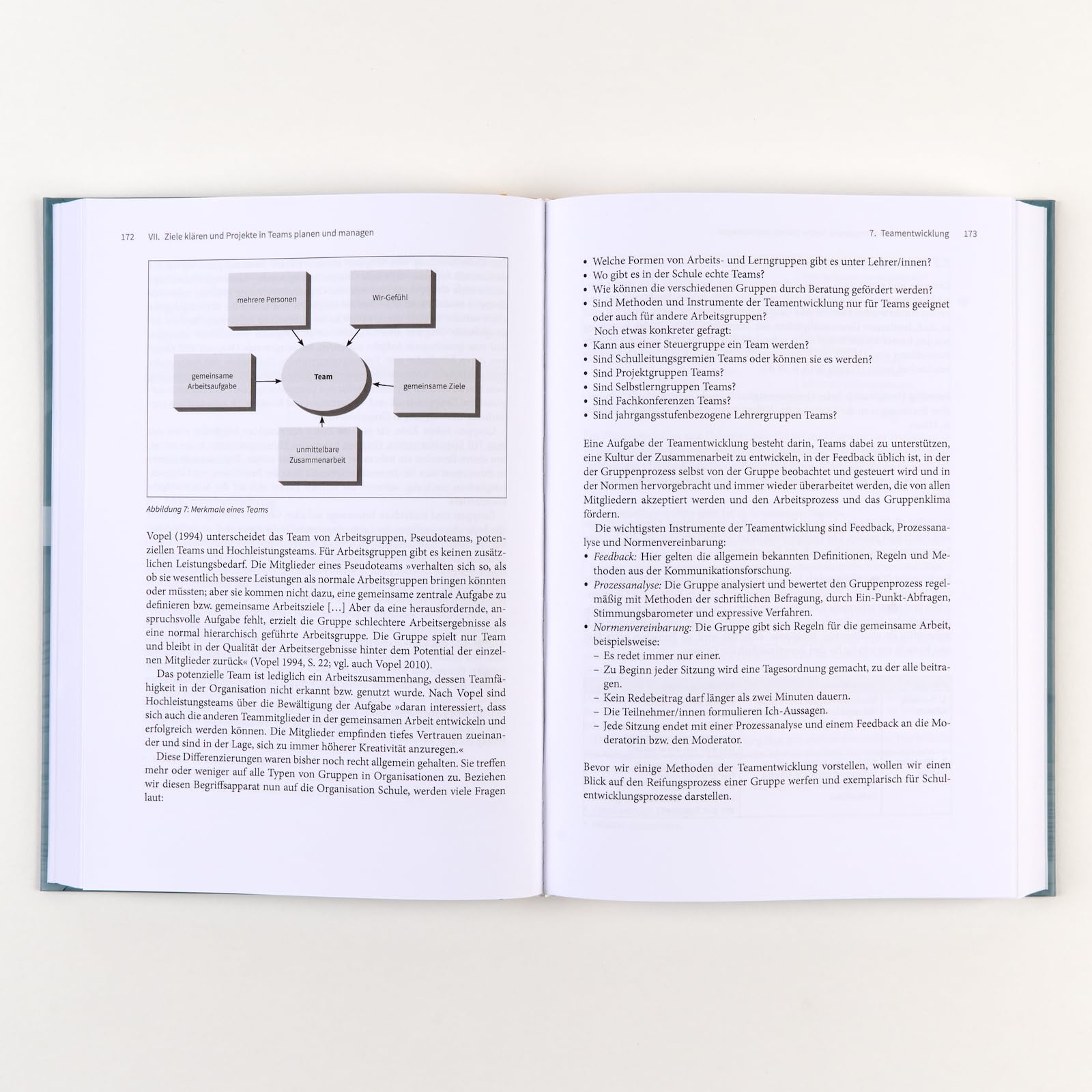 Handbuch Schulentwicklung: Beratung und Begleitung: Mit E-Book inside (Beltz Handbuch)