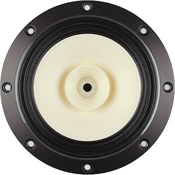 Amazon | Fostex 16cm コーン型 フルレンジユニットFE168NS