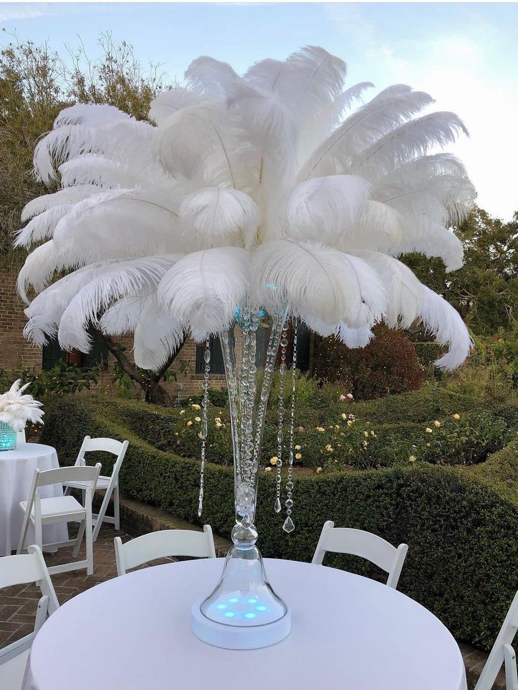 12Pcs Plumes D'Autruche Blanches 10-12inch(25-30cm),Naturelles 12Pcs Plumes D'Autruche Blanches 10-12inch(25-30cm),Naturelles