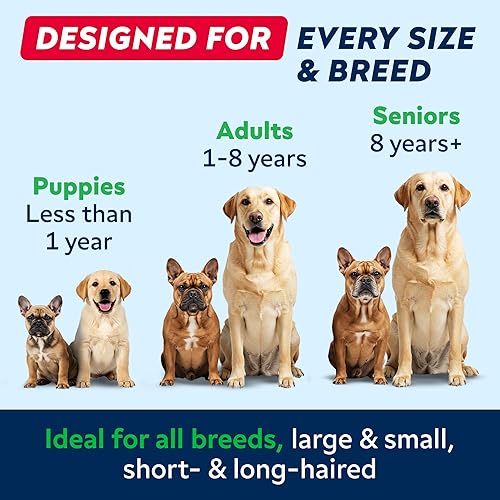 Miniatura 8 de STRELLALAB Aceite de pescado para perros y gatos - Omega-3 natural - Apoyo para la piel y el pelaje - Suplemento alimenticio líquido para mascotas -